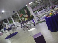 /album/galeria-de-fotos/decorado-par-festa-de-15-anos-jpg/